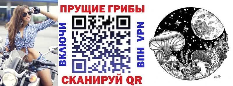 MEGA маркетплейс Омск Галлюциногенные грибы Psilocybine cubensis